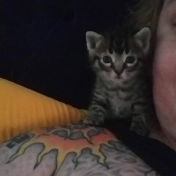 Meet your Posher, Shellien - Picture 3 of 9